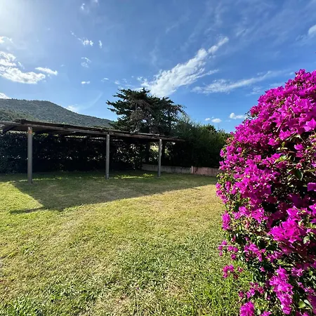 Vermentino House - 100 Mt Dalla Spiaggia Budoni
