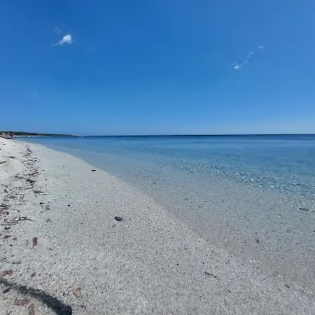 Daire Vermentino House - 100 Mt Dalla Spiaggia Budoni